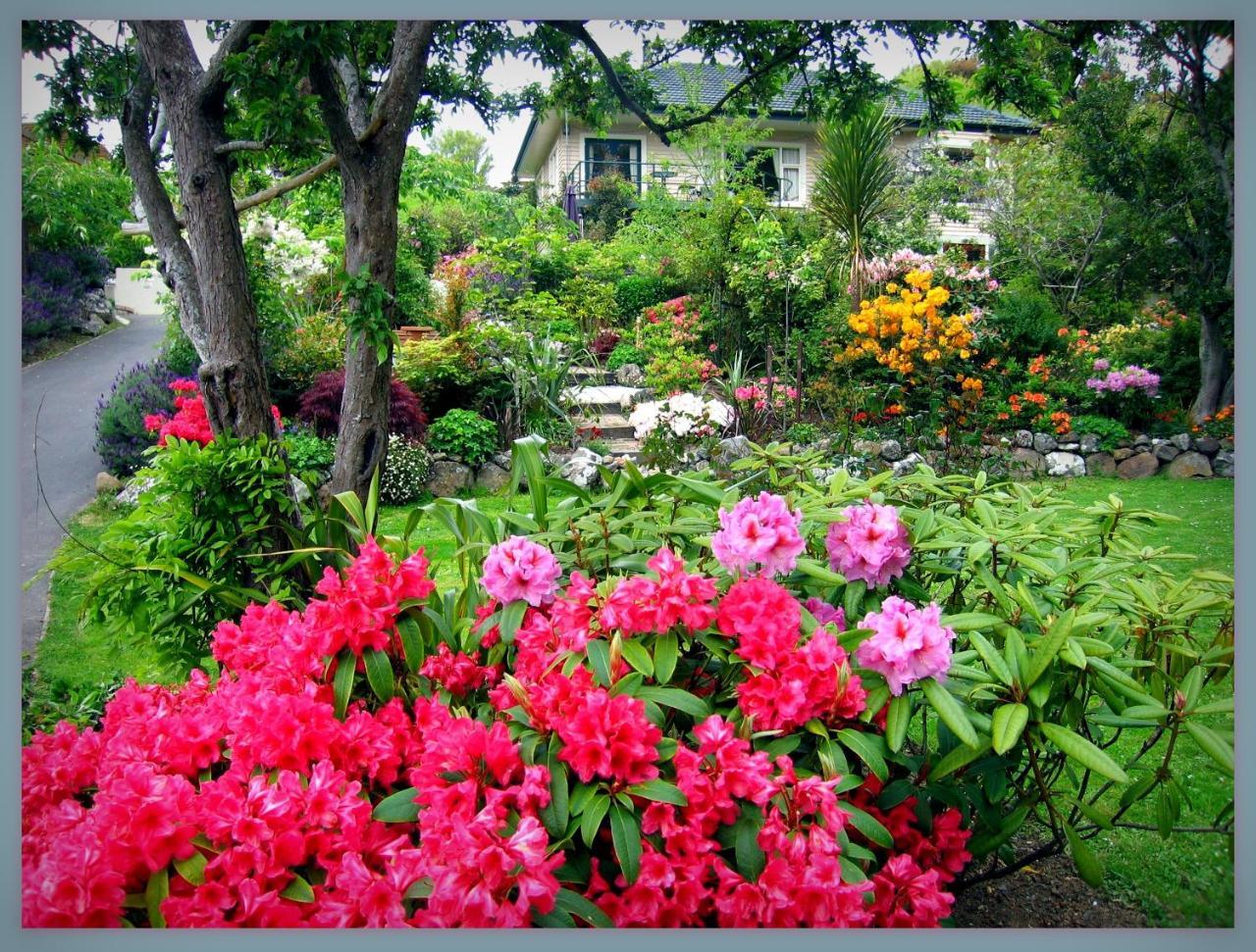 Mcauley Glen Boutique B&B Portobello Luaran gambar