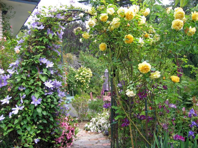 Mcauley Glen Boutique B&B Portobello Luaran gambar